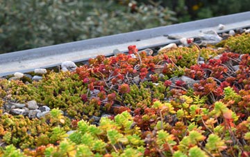 the cost of Wonford green roof installation